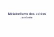 Métabolisme des acides aminésuniv.ency- .2/Métabolisme de la tyrosine: Passage de la tyrosine