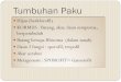 Tumbuhan Paku - victorianussugiyanto.files.wordpress.com · Tumbuhan Paku Sporangium SPORA-1 Gametofit Sporofit Daur Hidup PAKU PERALIHAN SPORA-2 Gametangium Protalium . Mikro-Protalium