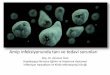 İNTESTİNAL AMİİYAZİS - anadoluissagligi.com · Entamoeba histolytica ... Asemptomatik olgular (sadece E.histolitica için) tek başına intraluminal bir ajanla tedavi edilebilir