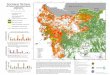 Peta Sebaran Titik Panas di Hutan Kalimantan Barat M A L A ...· Peta Sebaran Titik Panas di ... sehingga