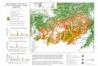 Peta Sebaran Titik Panas M AL Y S I SINGAPURE Papua di ... · Peta Sebaran Titik Panas di Hutan Kalimantan Tengah ... sehingga api yang terdeteksi dapat berlokasi di mana saja dalam