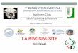 Beginners Class - Societ  Italiana di    LA RINOSINUSITE G.C. Pass  li Beginners