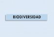Presentación de PowerPoint - iessierrasur.es · Tundra, taiga, bosque templado, estepa, bosque mediterráneo, desierto, sabana y bosque tropical. ... BIOMA Es un importante ecosistema