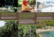 Di Indonesia, kegiatan Smart Tree –invest terpusat di Buol ... Indonesia... · Melalui Smart Tree-invest, ICRAF bekerjasama dengan masyarakat petani, pemerintah di tingkat lokal