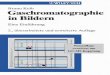 Bruno Kolb - download.e-bookshelf.de · Weitere Titel ftir Chromatographie-Einsteiger Konrad Grob Split and Splitless Injection for Quantitative Gas Chromatography (inkl. CD-ROM)