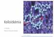 Kolloidkémia - uni-miskolc.hukemszori/KolloidKemia_2018_03.pdf · Makromolekula •Makromolekula: nagy relatív molekulatömegű(106 g/mol > M > 104 g/mol) molekula, amelynek szerkezete