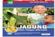 JAGUNG - core.ac.uk · diolah sebagai kudapan, seperti lemet jagung, bakwan jagung, dan lain-lain. Pada saat ini juga telah tersedia produksi olahan dari jagung, seperti tepung maizena,