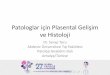 Patologlar için Plasental Gelişim ve Histolojipatoloji2017.org/wp-content/uploads/2017/12/2-SERAP-TORU.pdf · • Plasenta – Fetal organ – Maternal-fetal gaz ve besin alışverişi