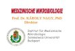 Prof. Dr. KÁROLY NAGY, Prof. Dr. KÁROLY NAGY, PhDPhD .Helicobacter pylori. Bestimmungschlüssel