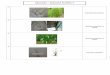 MACAM MACAM RUMPUT Mangifera indica (DAUN MANGGA) 4 Ipomoea batatas (KETELA RAMBAT) 5 6 Artocarpus integra (DAUN NANGKA) Manihot utilissima (KETELA POHON) 7 Manihot esculenta (KETELA