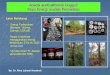 Acacia auriculiformisUnggul: Kayu Energi mudah Strategy Populasi dasar Populasi Pemuliaan Populasi Perbanyakan