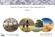 Training “Expert Broiler Farm Management” - Part 1 - · o Manajemen Focus pada Hewan o Pengaturan pakan untuk lingkungan bertemparatur tingg o Pemakaian brooding dan growing bangsal