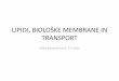 LIPIDI, IOLOŠKE MEMRANE IN TRANSPORT · –Polarni lipidi so pomembne sestavine bioloških membran. ... • Hidrogeniranje pogosto vodi v nastanek trans oblike ... • Pasivni transport