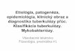 epidemiológia, klinický obraz a diagnostika tuberkulózy ... · Klasifikácia tuberkulózy MKCH 10 A15 Respiračná tuberkulóza potvrdená bakteriologicky alebo histologicky A16