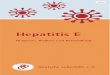 Hepatitis E 2017-06 Broschuere 105x210mm - leberhilfe.org¼re-Hepatitis-E-2017.pdf · Übliche Hepatitis-E-Diagnostik serologischer Antikörper-Nachweis Antikörper: HEV-IgM normalerweise