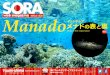 2014.jul. vol.36 Manado - つみしまtsumishima.com/soraweb/2014/07/04/36_201403_Manado.pdf行動 Manado メナド ココティノス・メナド ブナケンエリアの拠点となるリゾートが「ココティノス」。ダイバーのためのカジュアルリゾートなので、