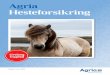 Agria Hesteforsikring · 4 Agria Hest B Safe Sygeforsikring (alle nævnte beløb følger 2019 årsindeks) Det fremgår af policen, om du har tegnet Safe Sygeforsikring