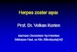 Herpes zoster aşısı - klimik.org.trŸıları-Klimik-aşı-2014.pdf · Varicella zoster, primer enfeksiyon sürecinde latent hale gelir VZV=varisella zoster virüsü. Image adapted