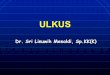 Ulkus tk IV FKUI - staff.ui.ac.idstaff.ui.ac.id/system/files/users/sri.linuwih/material/ulkus.pdf-selulitis -phlebitis-limfangitis -septikemi •Pemeriksaan penunjang-Sediaan langsung