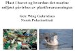 Plast i havet og hvordan det marine miljøet påvirkes …miljoringen.no/wp-content/uploads/2017/06/Dag-2-09-Geir...Image: Ferdi Rizkiyanto 2011 Takk for oppmerksomheten! Det samles