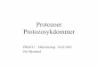 Protozoer Protozosykdommer - uio.no · Blodutstryk: Trypanosoma gambiense Trypanosoma brucei rhodiense. Antigen variasjon i trypanosomer – unnslipper immunrespons. Framtidige medikamenter