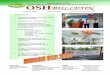 OSH Bulletin Keluaran 3/2007 OSH - kimia.gov.my · PEKERJAAN OSH UNTUK TIMBALAN WAKIL PENGURUSAN (DMR) & PENGURUS OSH (9-10 JULAI 2007) Mesyuarat Keselamatan dan Kesihatan Pekerjaan