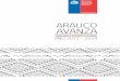 ARAUCO AVANZA - Intendencia del Bio Bío - Gobierno de Chile · 2012-06-27 · el Plan Región del Biobío 2010 - 2014 del Gobierno. En ... Ministro del Interior y Seguridad Pública,