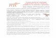 ošípanou na spotrebu - ulany.sk · 23/1/2019 · 1 Usmernenie pri postupe registrácie chovu s jednou ošípanou na domácu spotrebu Štátna veterinárna a potravinová správa