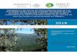 Proyecto: Análisis de sistemas de MRV y Contabilidad de ... · REDD+ Reducción de las emisiones de la deforestación y la degradación de bosques REDD+SES Estándares sociales y