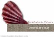 Endoftalmitis Crónica Victoria de Rojas - sogalicia.comsogalicia.com/wp-content/uploads/2014/07/ENDOFTALMITIS-CRÓNICA.pdf · PCR especialmente útil en endoftalmitis crónica Frotis