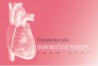Transplantace srdce Doporučené posTupy - IKEM - Institut ... · PDF fileDopamin ≤ 20 µg/kg/min 3. Dobutamin ≤ 10 µg/kg/min 3/ Monitorace hemodynamiky - CVP (obligátní postup)