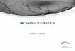 Aktuelles zu Uveitis - ukb.uni-bonn.deFILE/MFA_Uveitis_16_3_2016_RFinger.pdf · Uveitis Entzündung der inneren, pigmentierten und vaskularisierten Schicht des Auges (Uvea) •Häufige