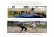 Projekt „Sportspiele aus verschiedenen Ländern“paul-klee-schule-celle.de/wp-content/uploads/2017/09/Sportprojekt-04.2017-Fotos... · Projektwoche über verschiedene Kulturen