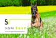 Die SV-Welt - schaeferhunde.de · Souverän. Einen gut ausgebildeten Deutschen Schäferhund bringt so leicht nichts aus der Ruhe, weil er sozial verträglich und im Wesen sicher ist