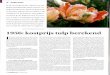 Tekst en fotografie: Peter Knippels Tulp 'Sal mon Pa rrot ...· Het Vakblad voor Bloem-bollenteelt