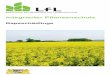 Integrierter Pflanzenschutz - lfl.bayern.de · Gelbschalen haben sich als Signalgeber für das Auftreten zahl-reicher Schädlinge bewährt. Sie lassen Aussagen über Befalls-druck