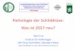 Landeskrankenhaus Graz Süd-West · • Alle endokrinen Organe • > 100 Autoren, davon 25 bei Konsensuskonferenz in Lyon • Klinik, Histo- und Zytologie, Immunphänotyp • Tumorgenetik