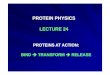 PROTEIN PHYSICS LECTURE 24LECTURE 24 - Aalborg …homes.nano.aau.dk/fp/protein-physics/FinkelsteinLecture24.pdf · Ch t iChymotrypsin Chymotrypsin is one of the serine proteases