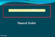 Nasrul Zubir - Repository Universitas Andalasrepository.unand.ac.id/23133/4/S2- IMUNOMODULATOR.pdf · JENIS IMUNOMODULATOR ... berfungsi pada pematangan sel T dan modulasi sel T yang