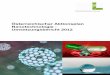 Österreichischer Aktionsplan Nanotechnologie ...· Österreichischer Aktionsplan Nanotechnologie