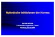 PETER MEYER - uniklinik-freiburg.de · Übersicht • Pilze allg. - Pathogenese • Epidemiologie • Risikofaktoren • Klinik • Labor • Pathologie • Therapie • Fallbeispiele