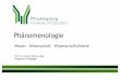 Phänomenologie - dgsa.de · Phänomenologie Wissen –Wissenschaft –Wissenschaftstheorie Prof. Dr. Anselm Böhmer MBA Allgemeine Pädagogik