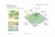 11.06. Biophysik der Zelle Photosynthese I Chloroplasten ... · pathway of carbon in the stroma. Rädler SS 08 Biophysik der Zelle 34 Synthesis of sucrose incorporating ﬁxed CO
