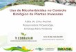 Uso de Micoherbicidas Micoherbicidas no Controle Biológico ... · Micoherbicida. Uso de fungos fitopatogênicos endêmicos, já associados à planta-alvo, que são produzidos em