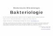 Medizinische Mikrobiologie: Bakteriologien0102122/tutorials/Bakterien-Tabelle.pdf · Mastitis puerperalis Ostitis Osteomyelitis Endokarditis Pneumonie Sepsis Lebensmittelintoxikationen