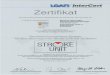 InterCert Zertifizierungsgesellschaft mbH Zertifikat Die I ... · für eine Uberregionale Stroke Unit mit 12 Betten zertifizierte STROKE UNIT t»urscne ScNaganfa,V eingeführt hat