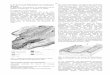 G 5: Karst und Paläoböden im Limburger Die Lahnmulde ...gh1694/G5.pdf · Profil sieht man den Kontakt zwischen dem verkarsteten mitteldevonischen Massenkalken und auflagernden Schottern