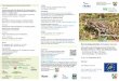 Die Knoblauchkröte (Pelobates fuscus) · genetik der Art, zur Bioakustik und über vergleichende Untersu- chungen der im Life-Projekt angewendeten Aufzuchtmethoden bei der Nachzucht