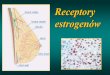 Prezentacja programu PowerPoint - Jagiellonian Universitybiotka.mol.uj.edu.pl/zbm/handouts/2004_04_receptors.pdf · Niektóre receptory (ER, AR, PR) stymulują ekspresję cykliny