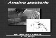 Was ist Angina pectoris? - meinherzdeinherz.info · Stabile Angina pectoris: „Stabil“ bedeutet, daß Angina pectoris immer unter denselben Umständen auftritt. Da-bei ist zu beachten,